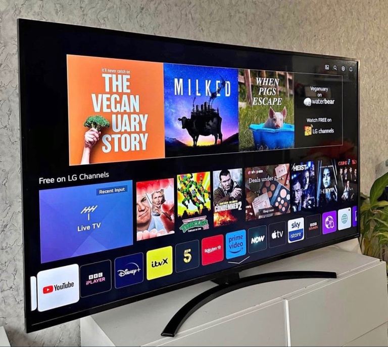 Smart TV software repair Auckland